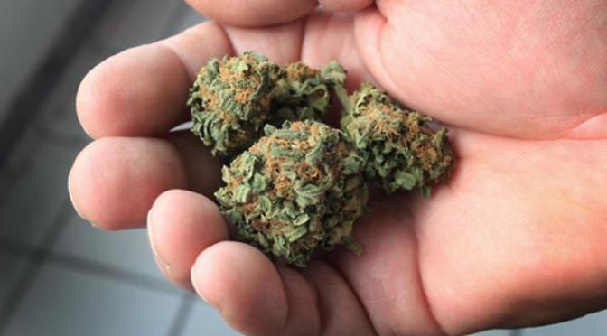 Genmutation: Körpereigene Cannabinoide machen Frau schmerzlos, sorgenfrei, aber auch leichter verletzbar